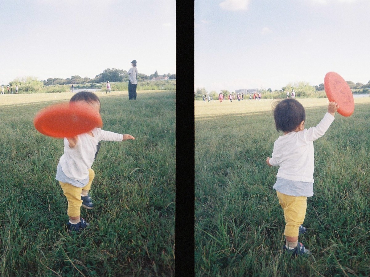 穏やかな時間は不意に