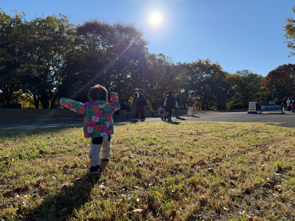 柔らかな季節、柔らかな記憶